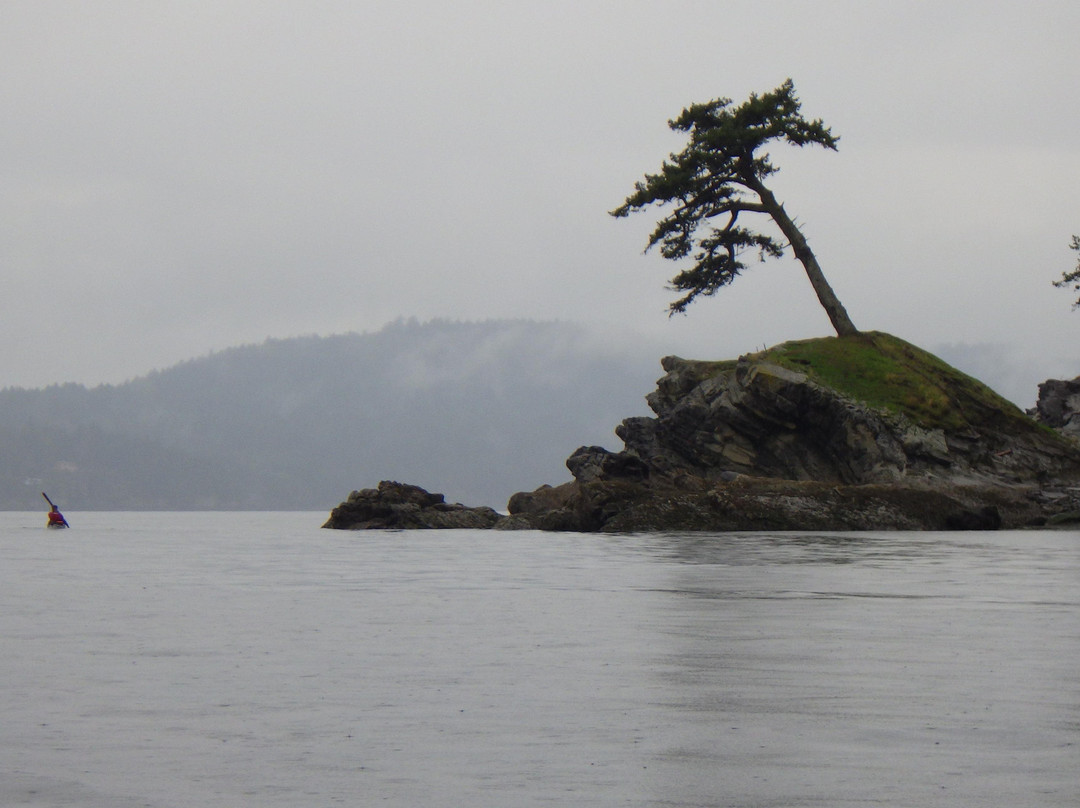 Island Römer Adventures景点图片