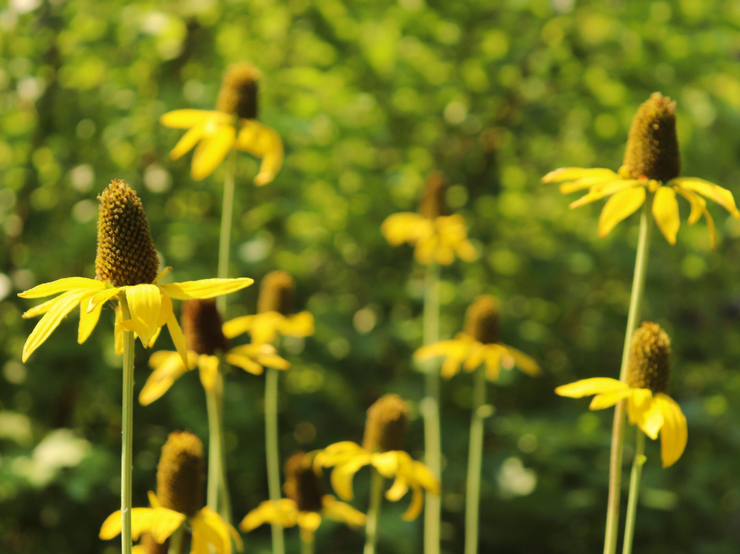 Pneuma Retreat Center主图