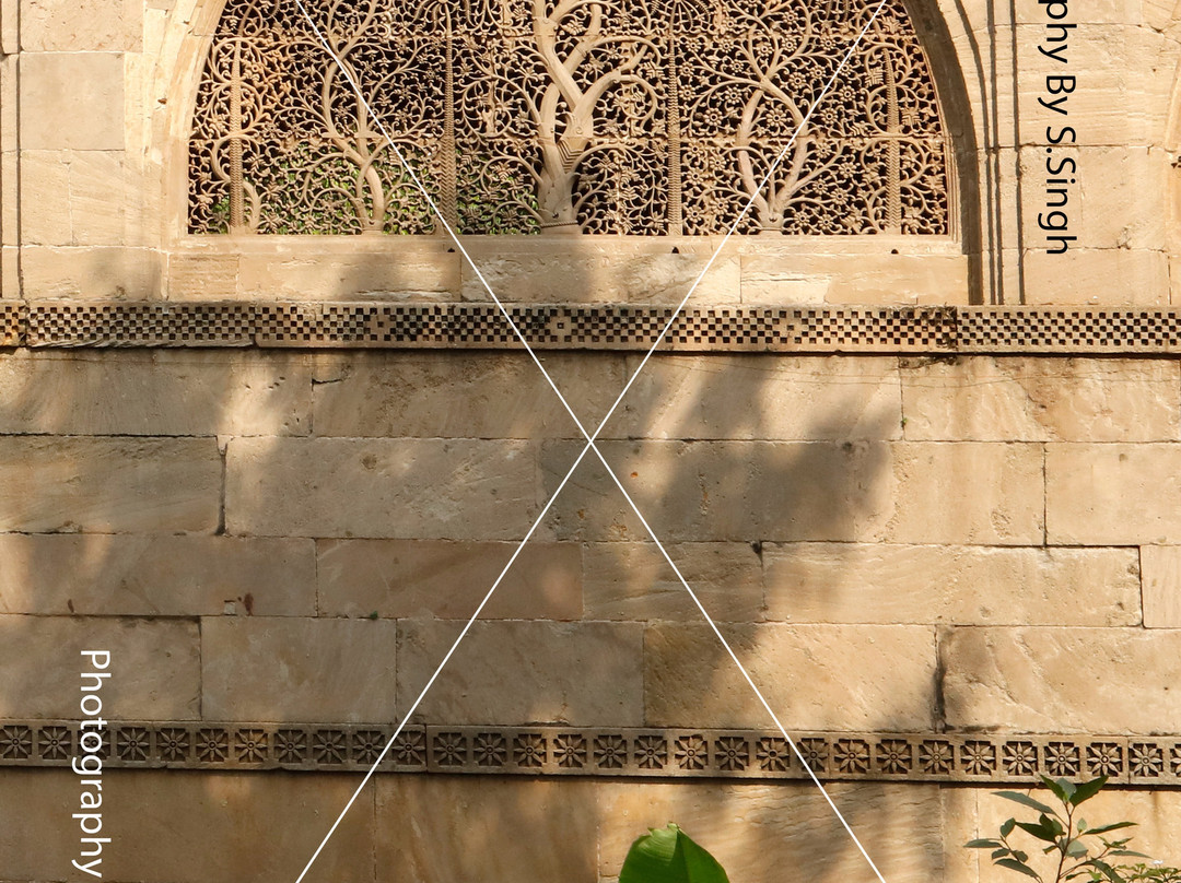 Sidi Saiyyed Mosque景点图片