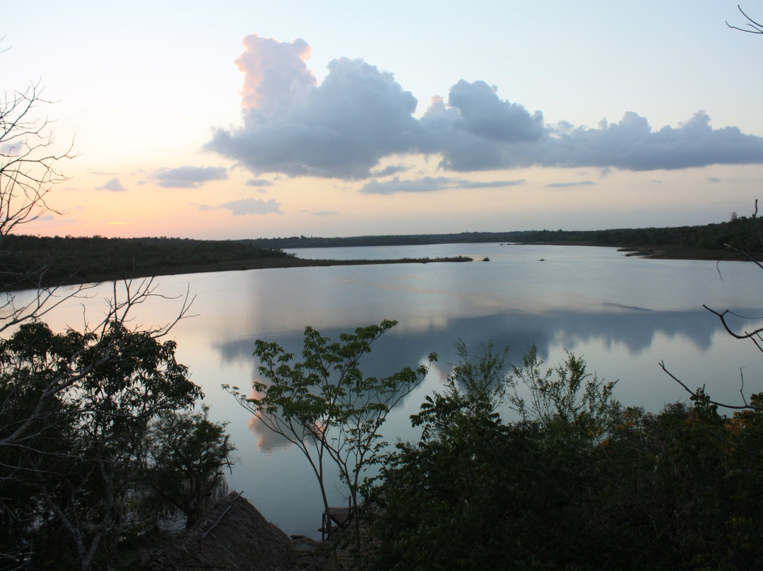 Punta Laguna Nature Reserve景点图片