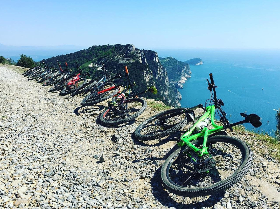 LifeBike.it景点图片