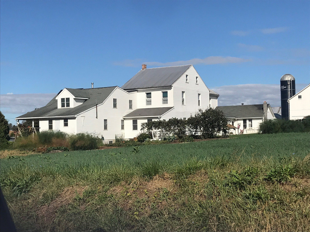 Old Order Amish Tours-Ronks必去景点