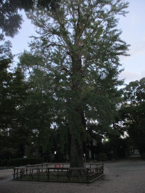 Yasaka Shrine-池田市必去景点