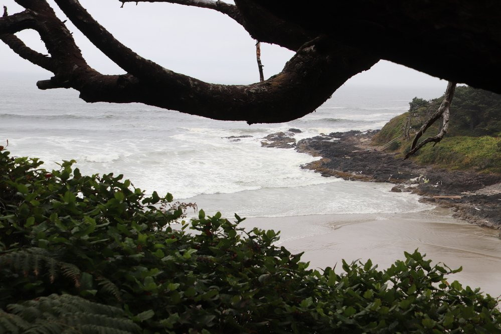 Cove Beach景点图片