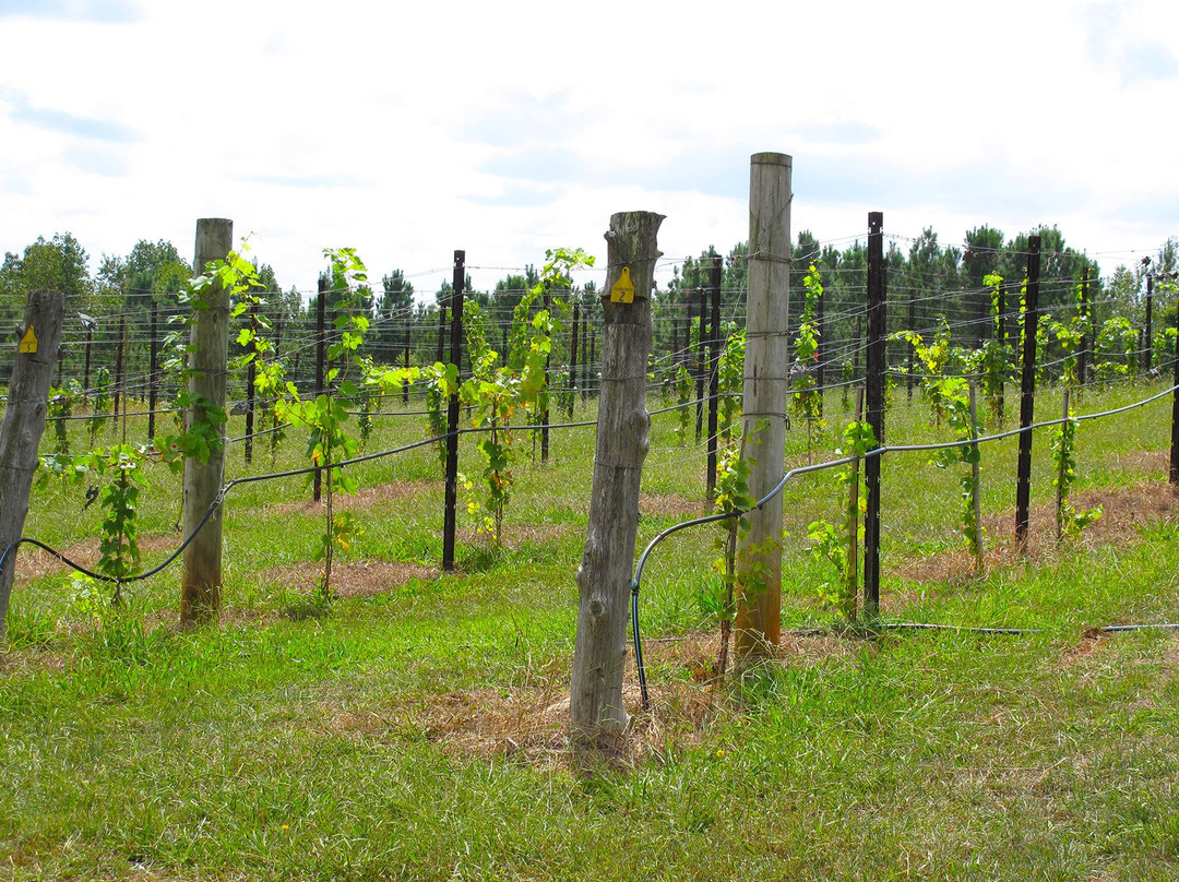 SilkHope Winery-Pittsboro必去景点