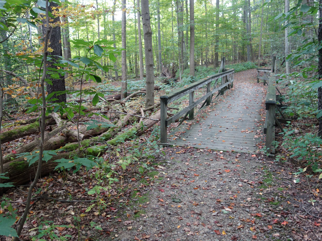 Chesterland旅游景点-Bessie Benner Metzenbaum Park