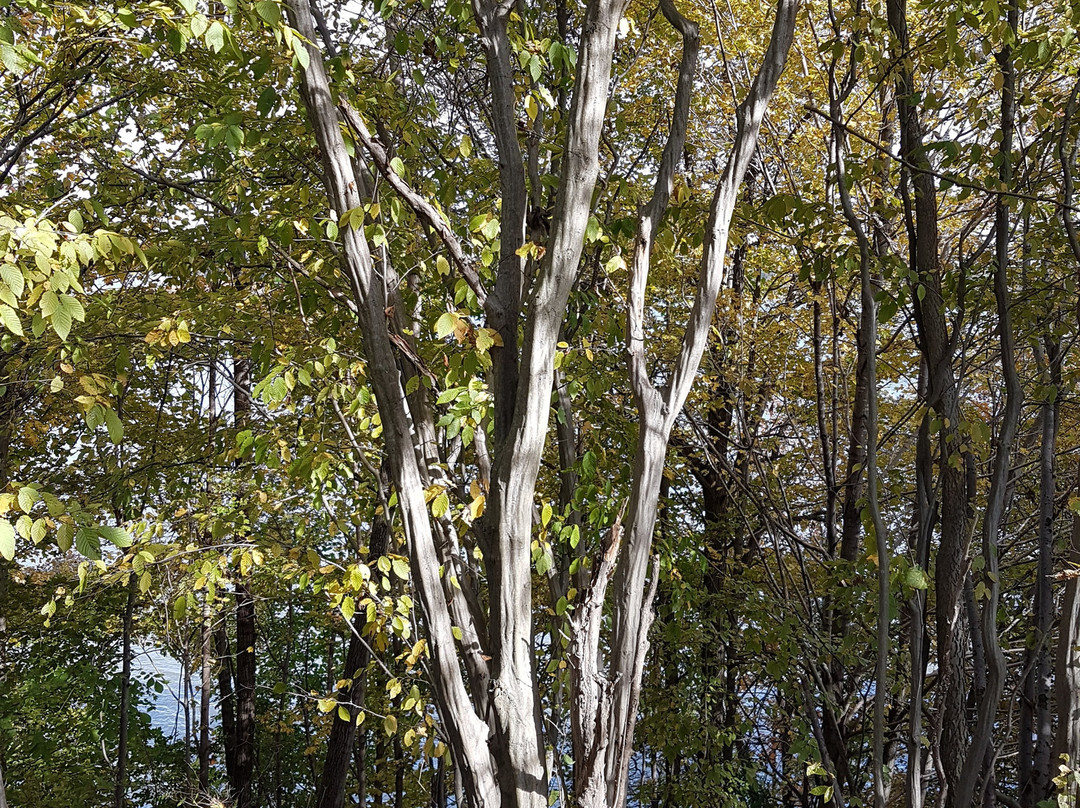 Fanshawe Conservation Area-伦敦必去景点