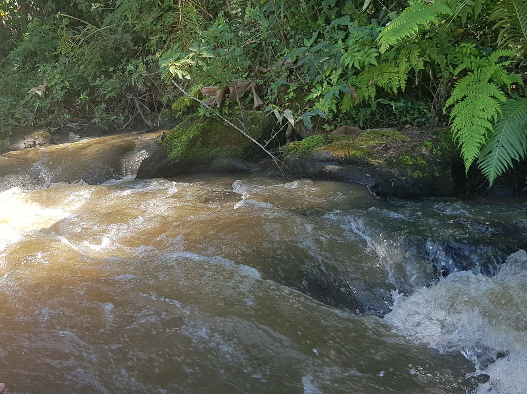 Cachoeira do Ouro Fino景点图片