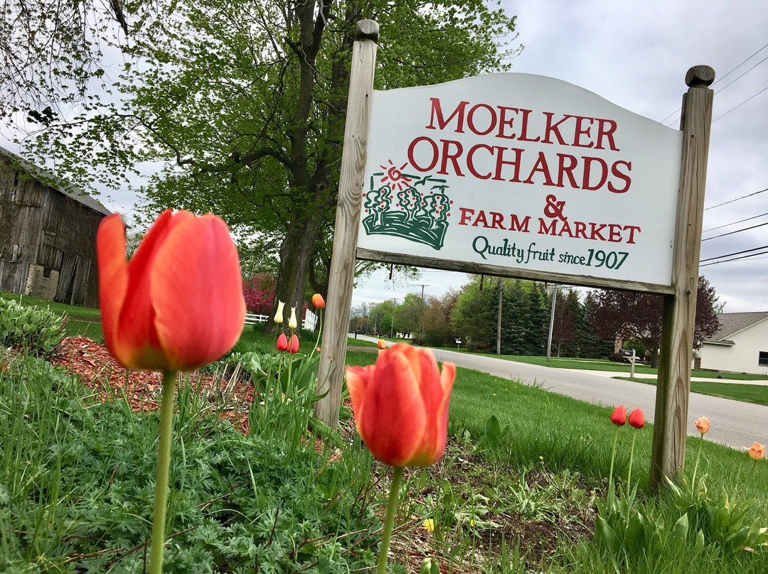 Moelker Orchards景点图片