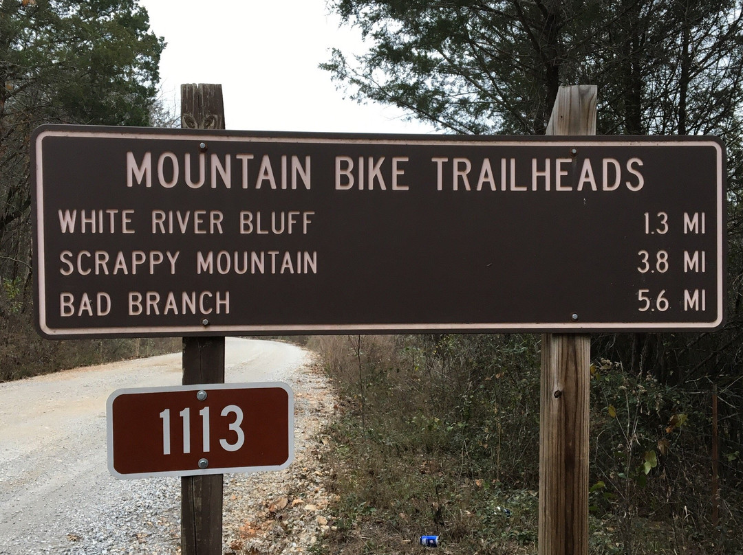 Syllamo Mountain Bike Trail景点图片