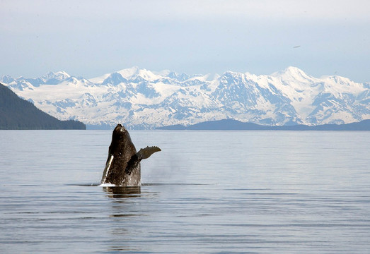 Latitude 60 Marine-苏厄德必去景点