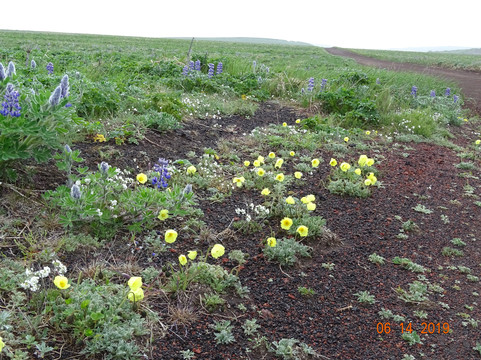 Alaska Maritime National Wildlife Refuge