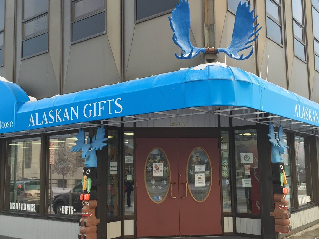 Once in a Blue Moose-安克雷奇必去景点