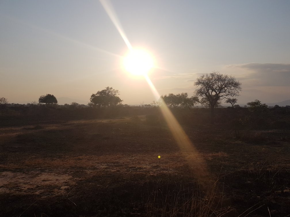 Martins Safaris-米库米国家公园必去景点