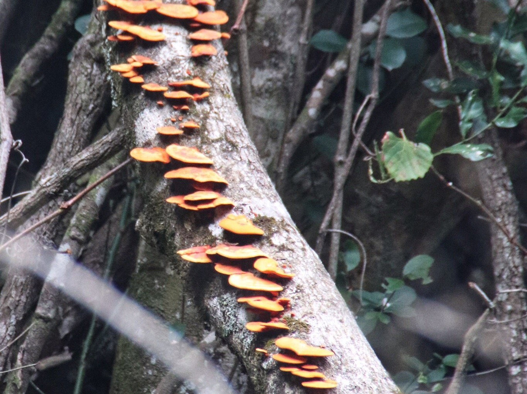 Beside Still Waters主图