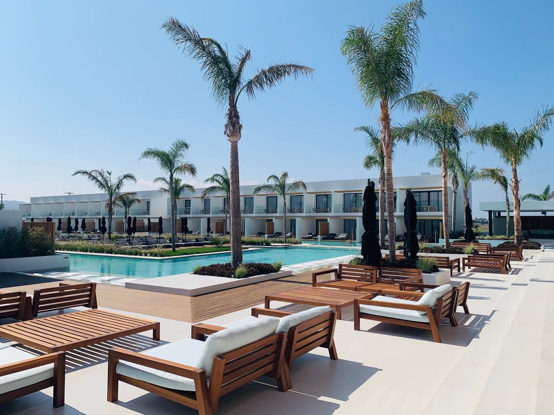 D'Andrea Lagoon主图