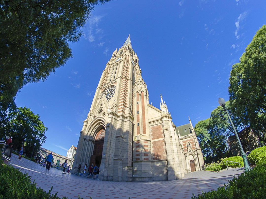 Catedral de San Isidro景点图片