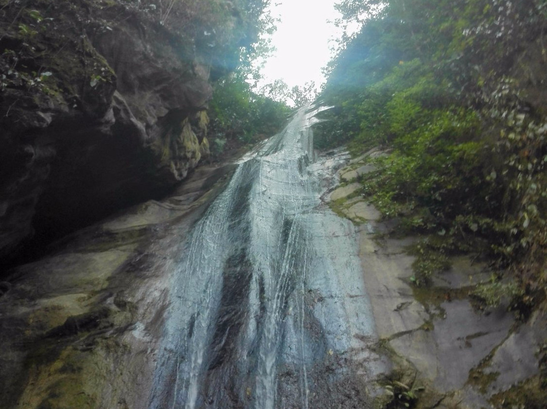 San Ramon旅游景点-Pampa Hermosa National Sanctuary