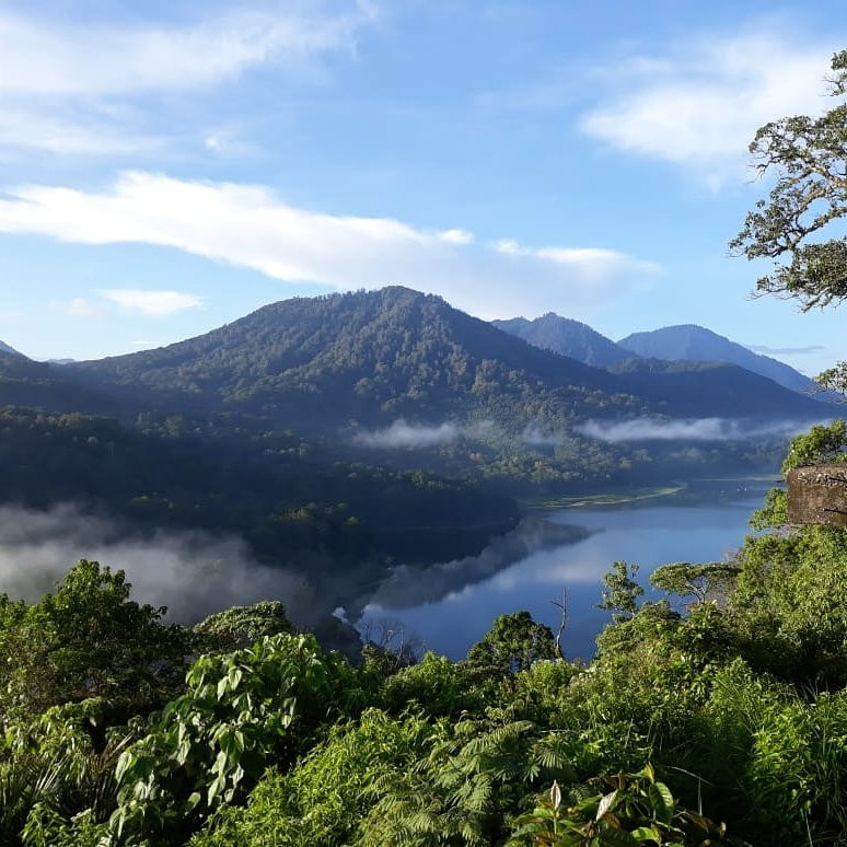 Peaceful Bali Tour-乌布必去景点