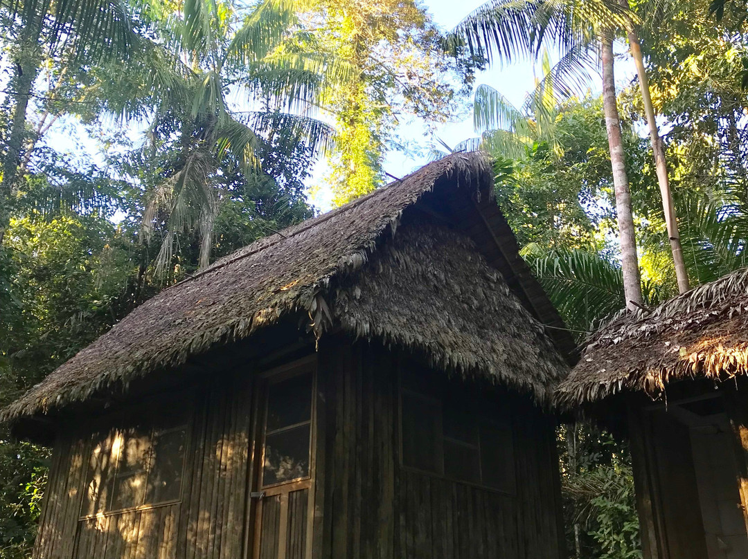 Canopy Villa Alcira-Rurrenabaque必去景点