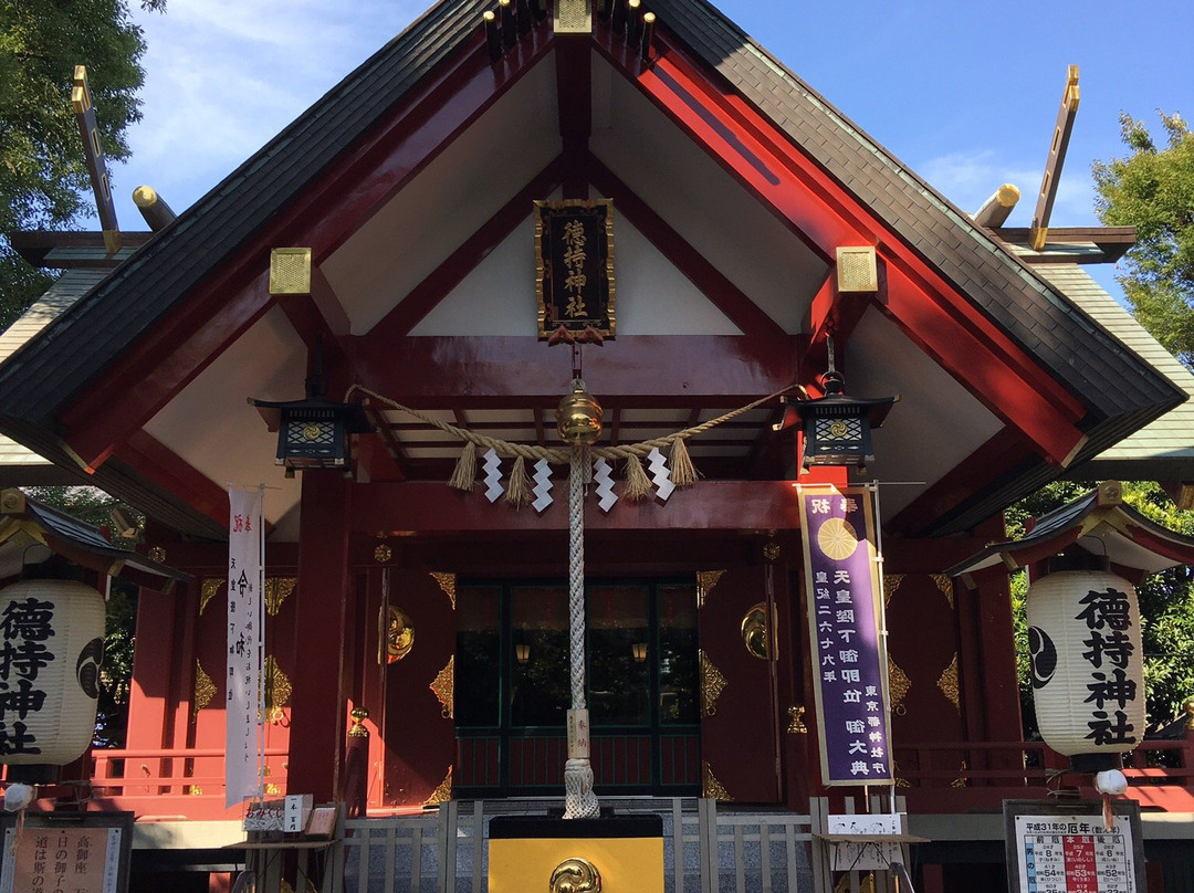 Tokumochi Shrine景点图片