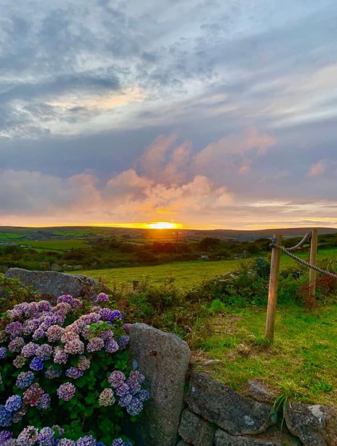 The Engine Inn-官方