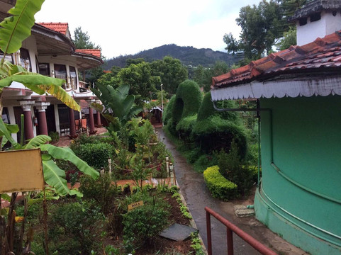 Ayurveda Yoga Retreat主图