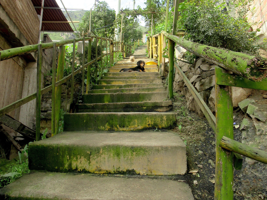 Alternative Peru-利马必去景点