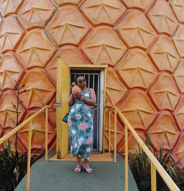 The Big Pineapple景点图片