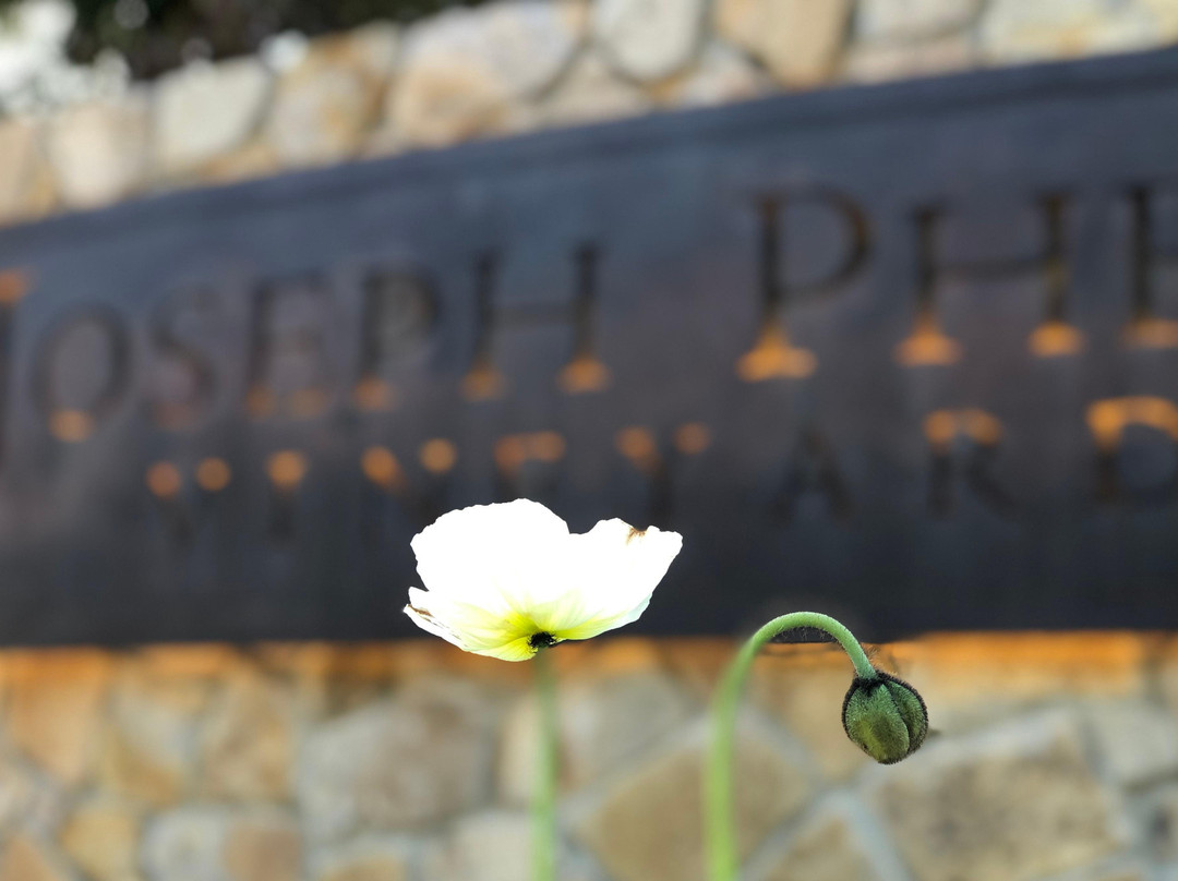 Peninsula Limo-旧金山必去景点