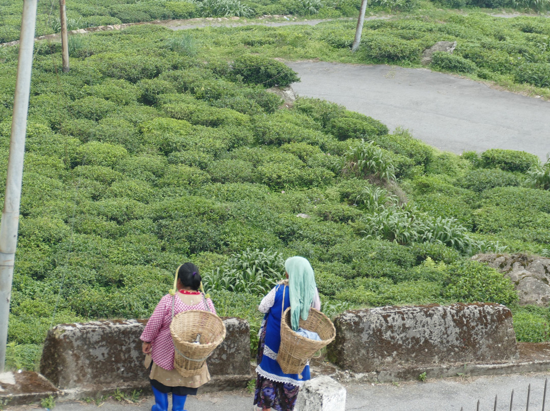 Giddapahar View Point景点图片