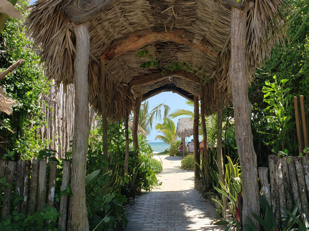 Cabaré Du Vento主图