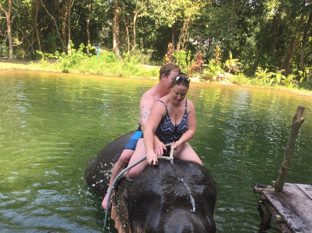 Tongdee Elephant Camp-Bang Muang必去景点