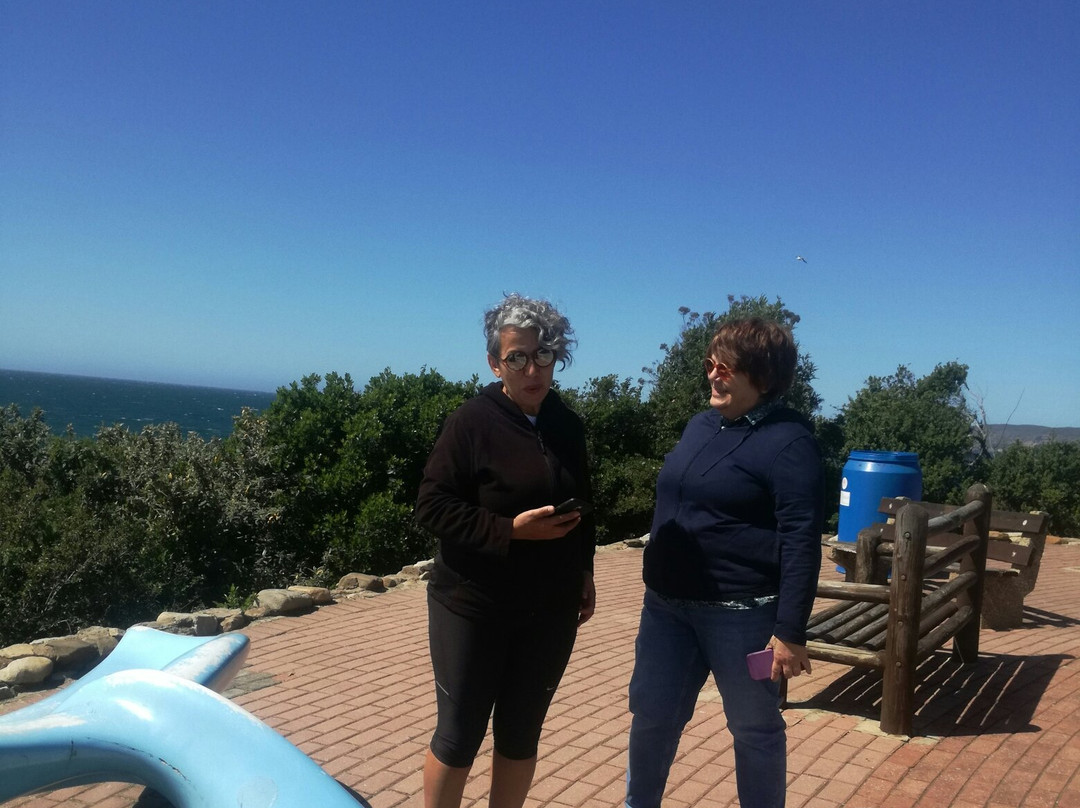 Plettenberg Beach-普利登堡湾必去景点