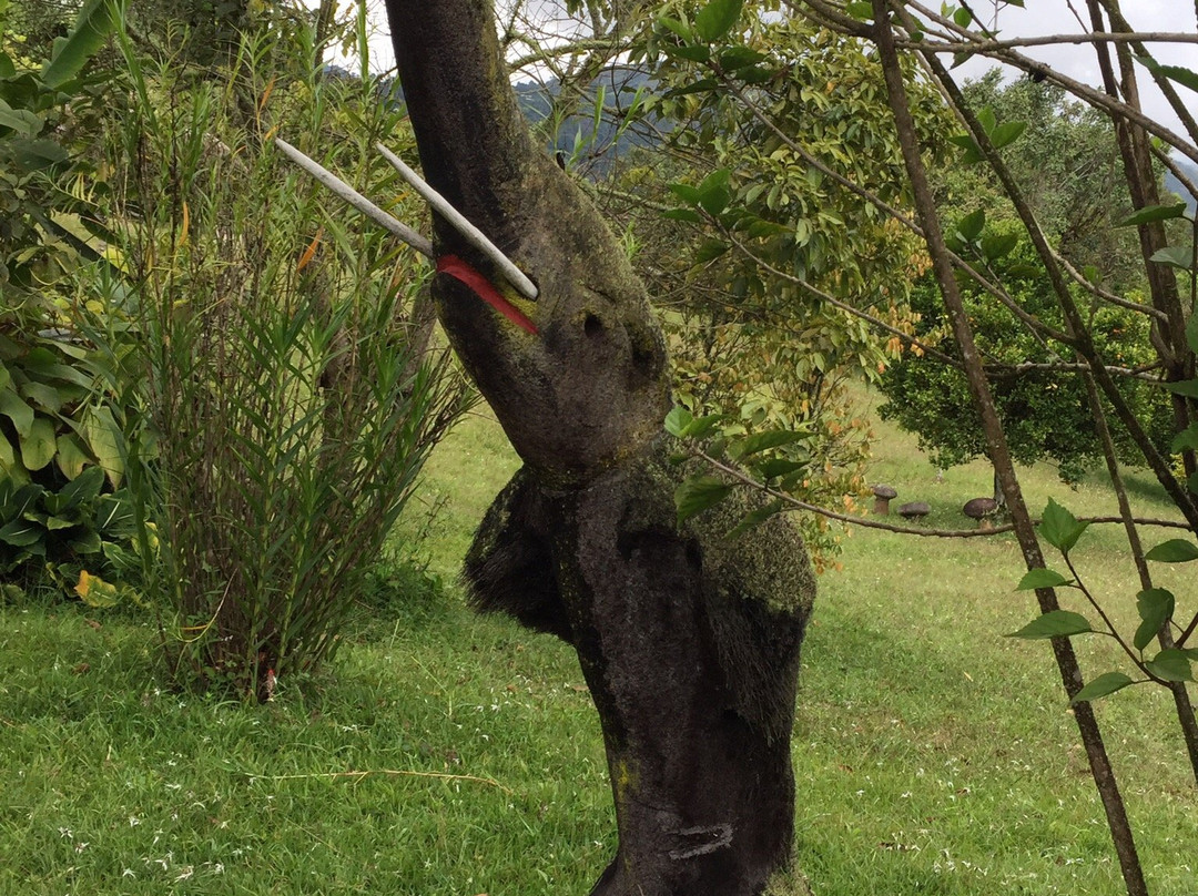 Finca El Cielo主图