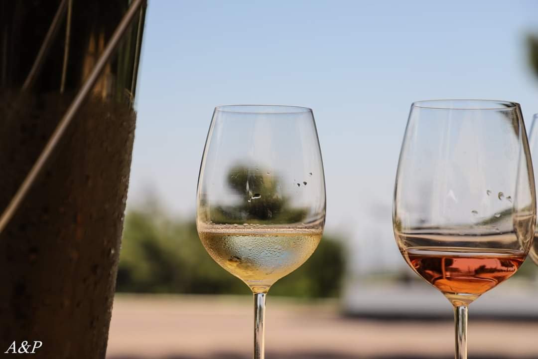 Netofa Winery-Mitse Netofa必去景点