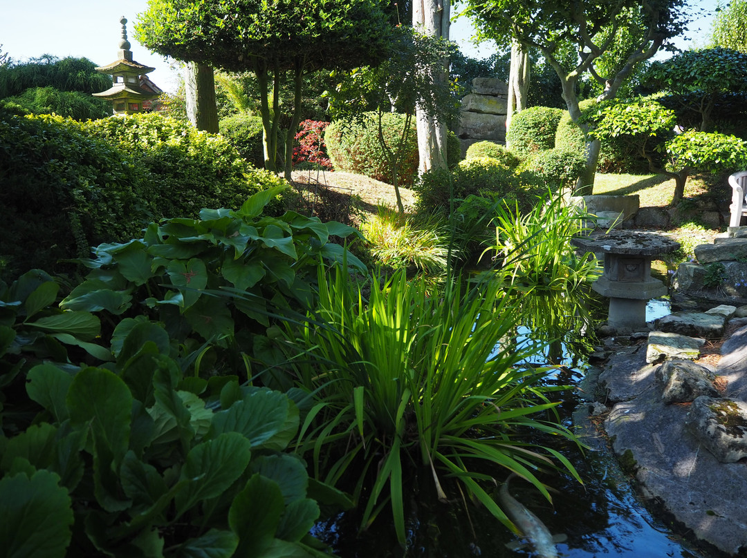 Pure Land Meditation Centre and Japanese Garden景点图片