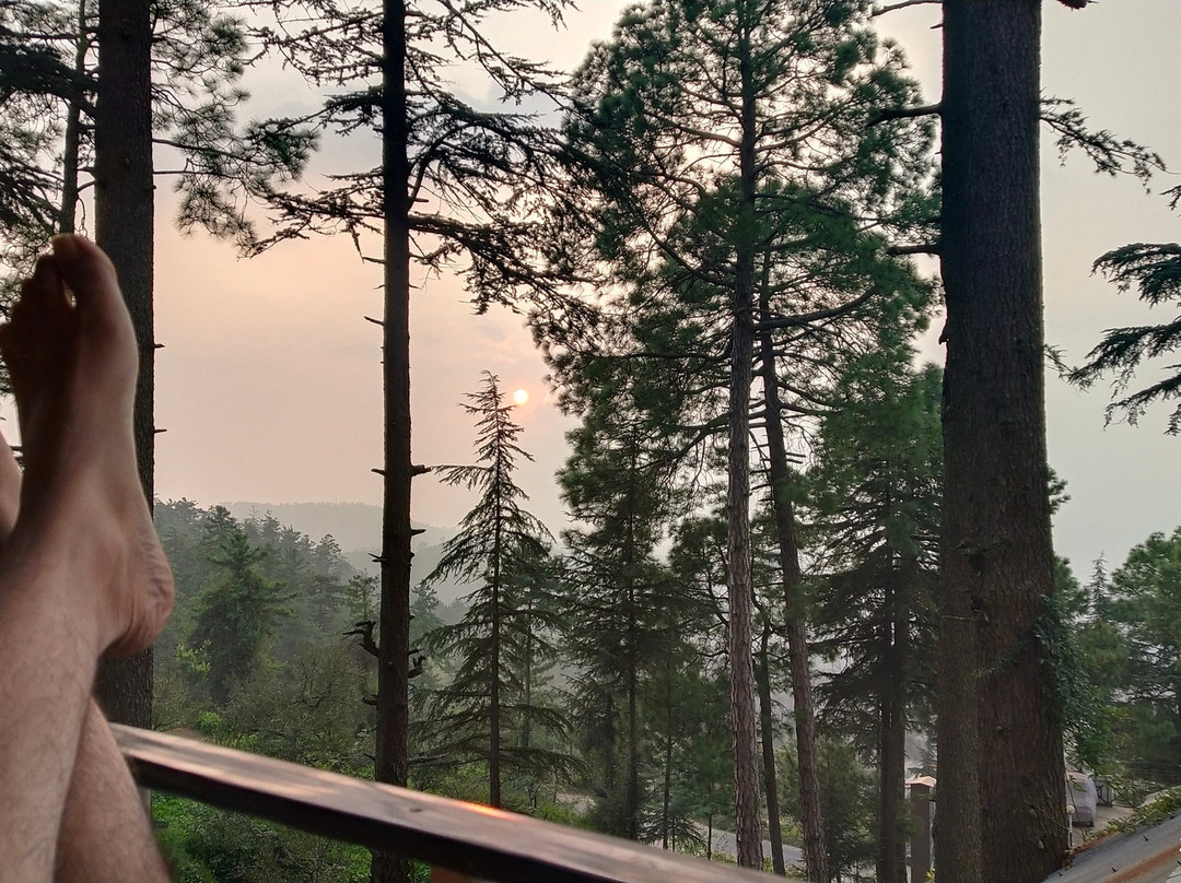 Hotel Mamleshwar (HPTDC)主图