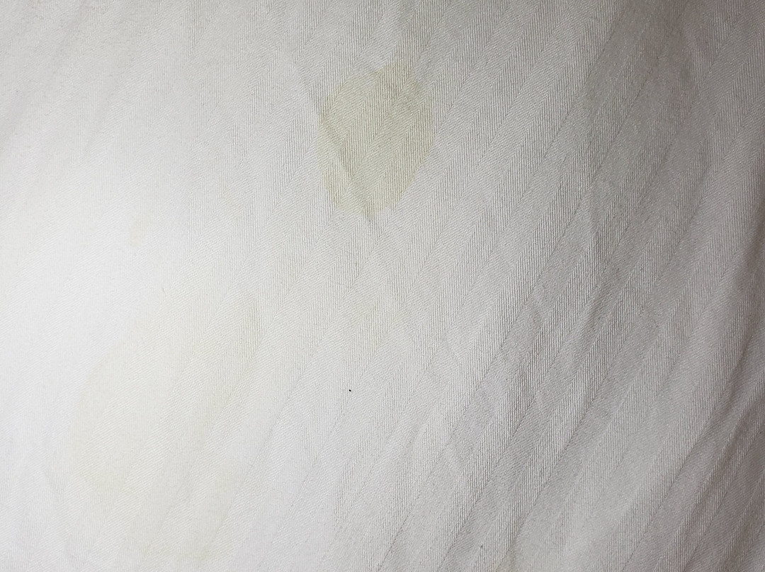 La Quinta Inn & Suites by Wyndham Bowling Green主图