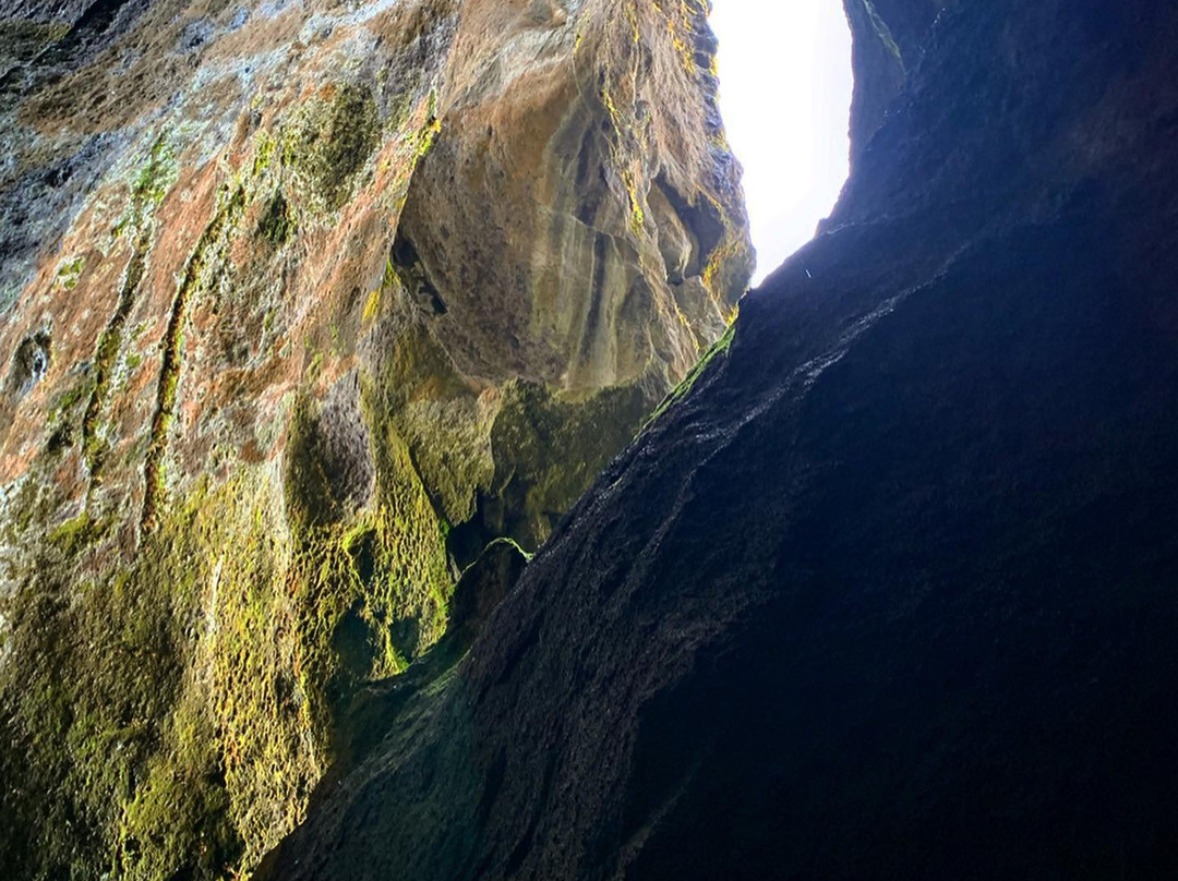 Into The Wild-科帕伏古必去景点