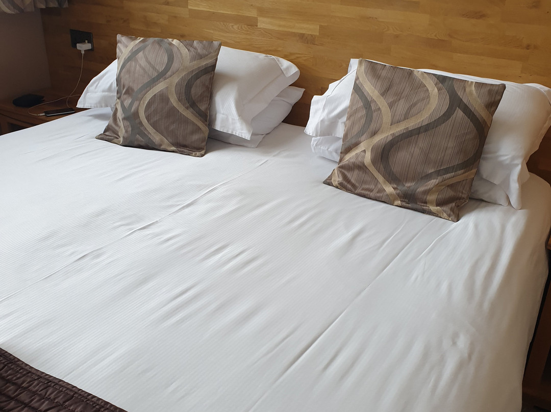 Grammar Lodge Guesthouse主图