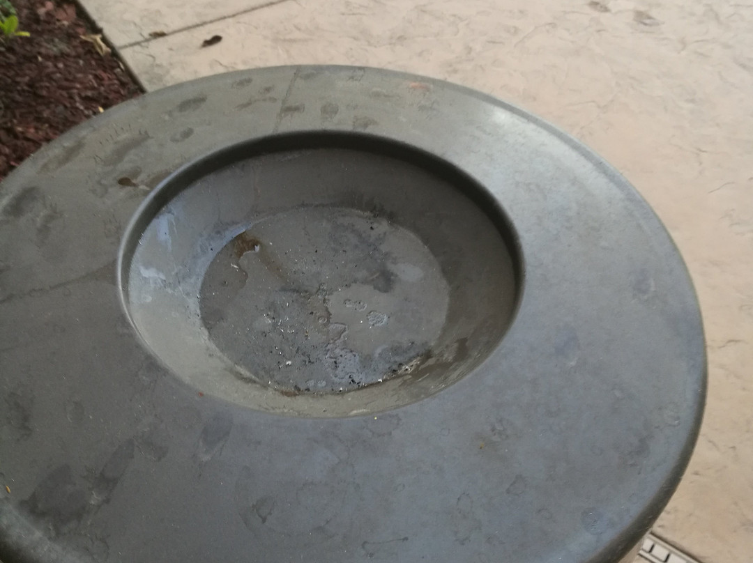 维萨利亚希尔顿恒庭酒店主图