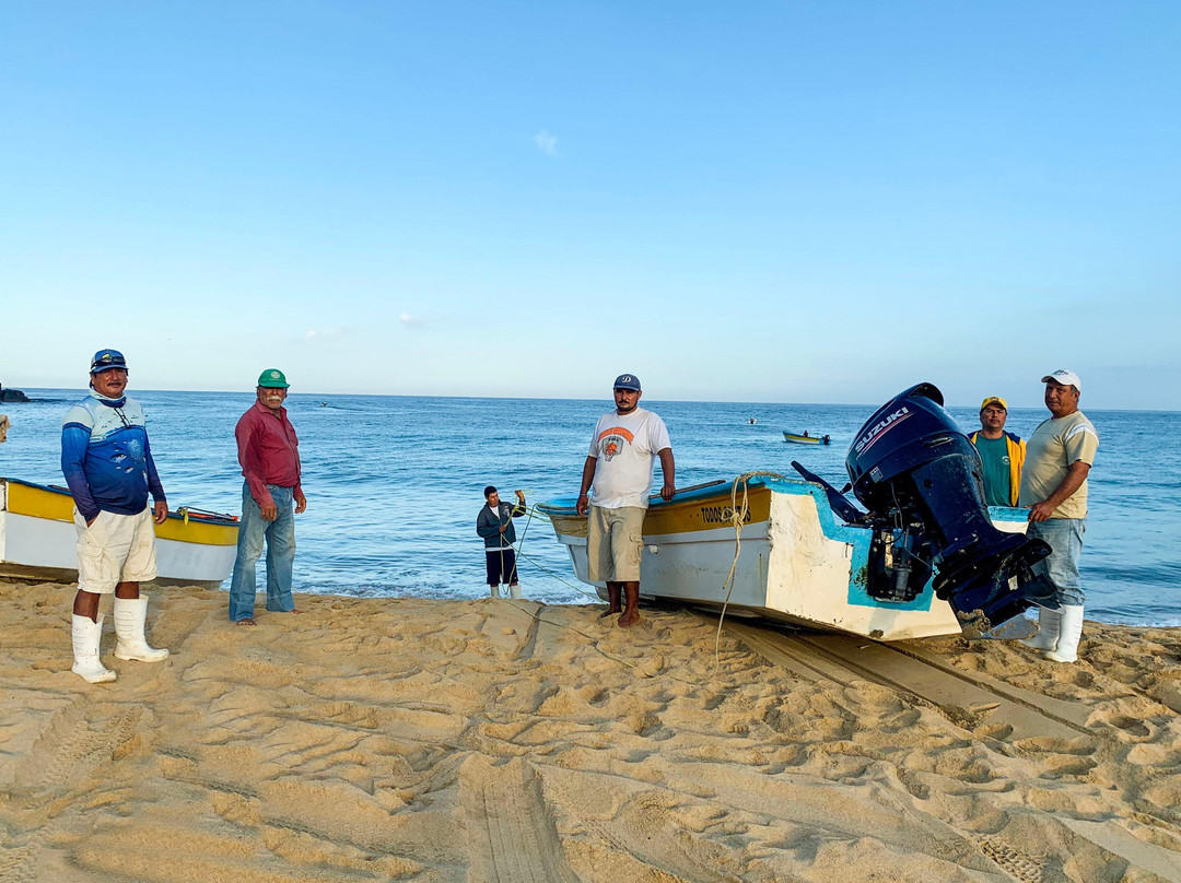 The Baja Whale Watching-拉巴斯必去景点