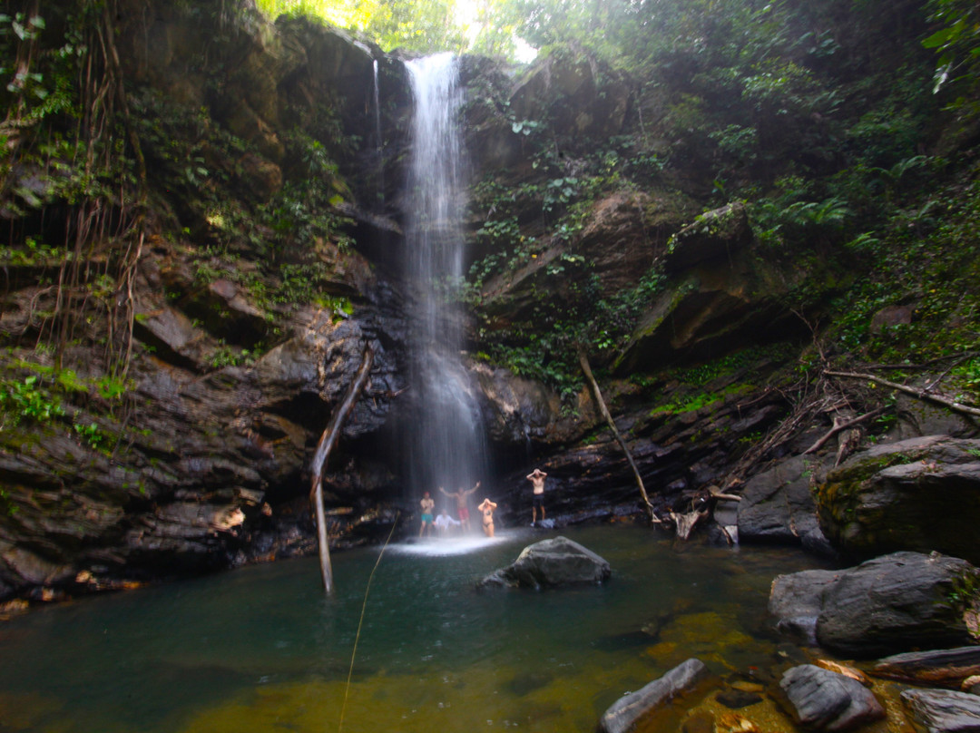 Caribbean Discovery Tours-西班牙港必去景点