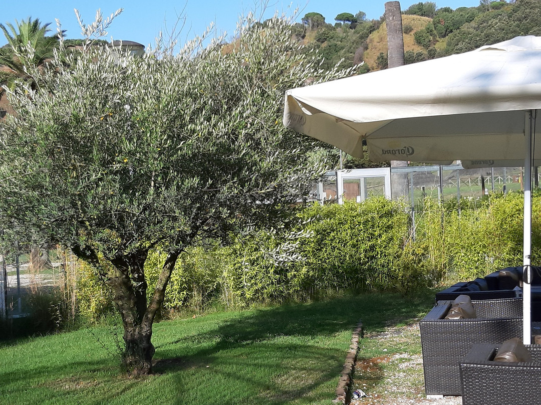 Miravalle Hotel主图