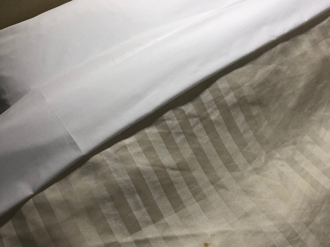 Super Hotel Takaoka Ekinan主图