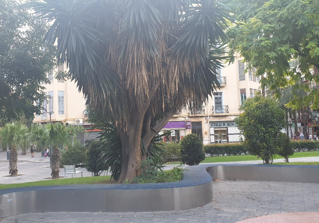 Plaça d'Espanya景点图片