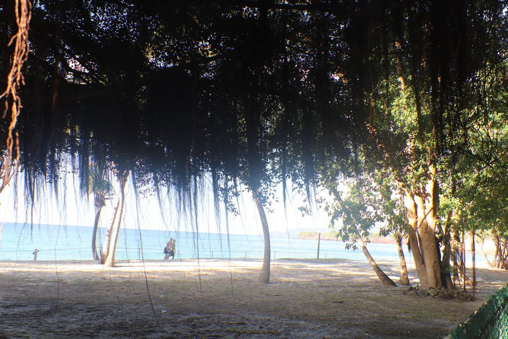 Parc a Boeuf Beach景点图片