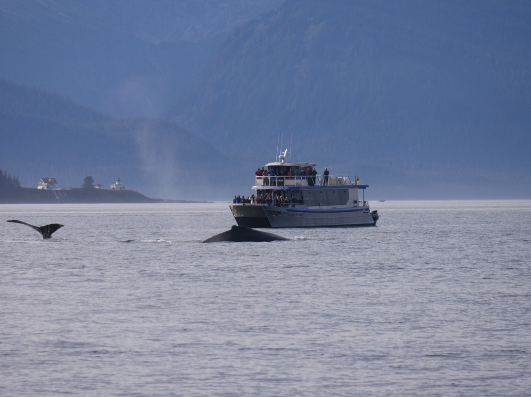 Haines-Skagway Fast Ferry-海恩斯必去景点