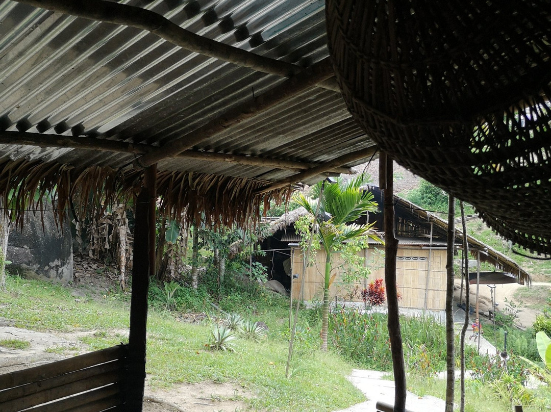 Rain Forest Inn主图